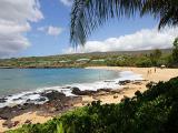  Maui Tours